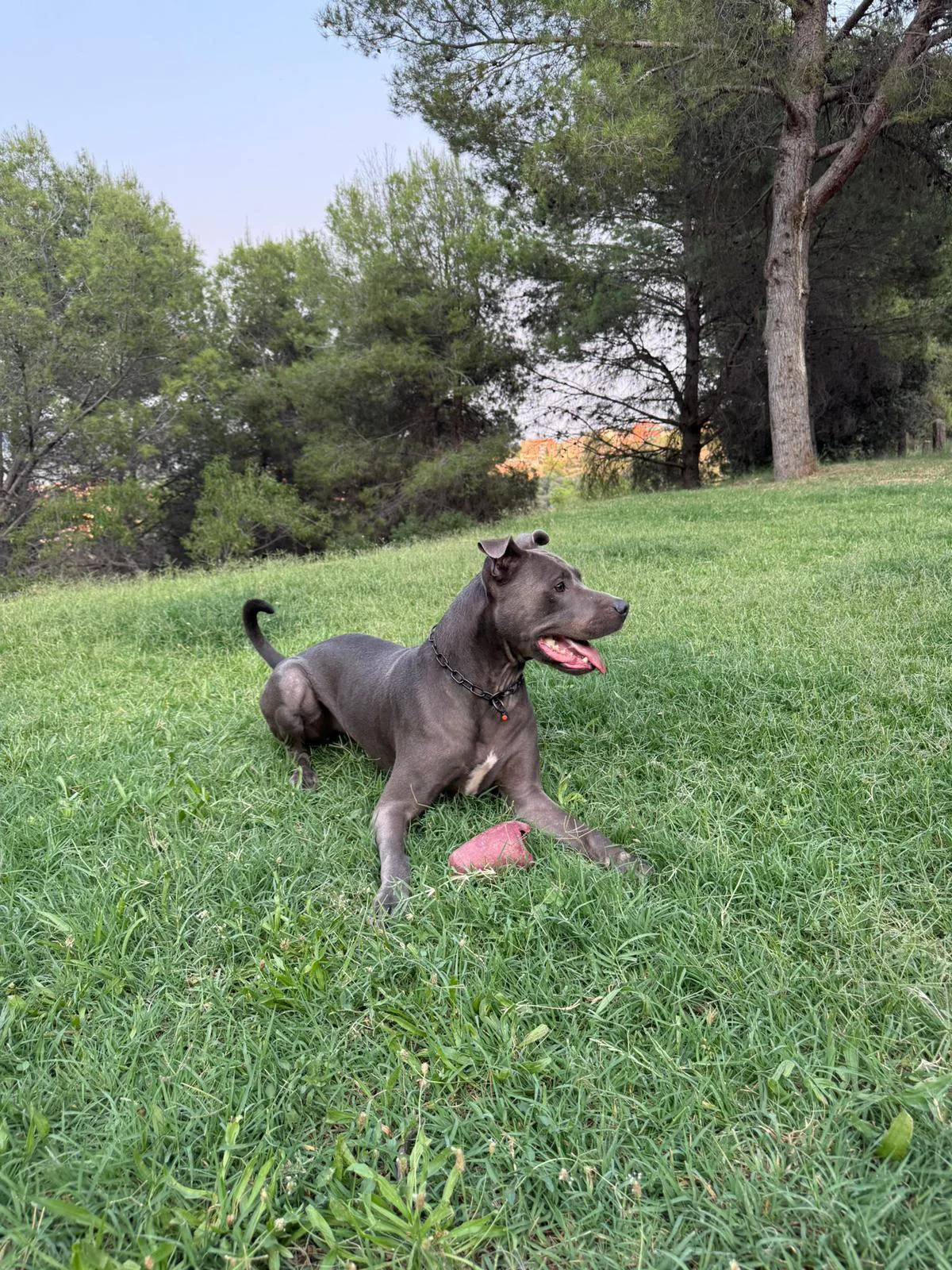 Socialización segura