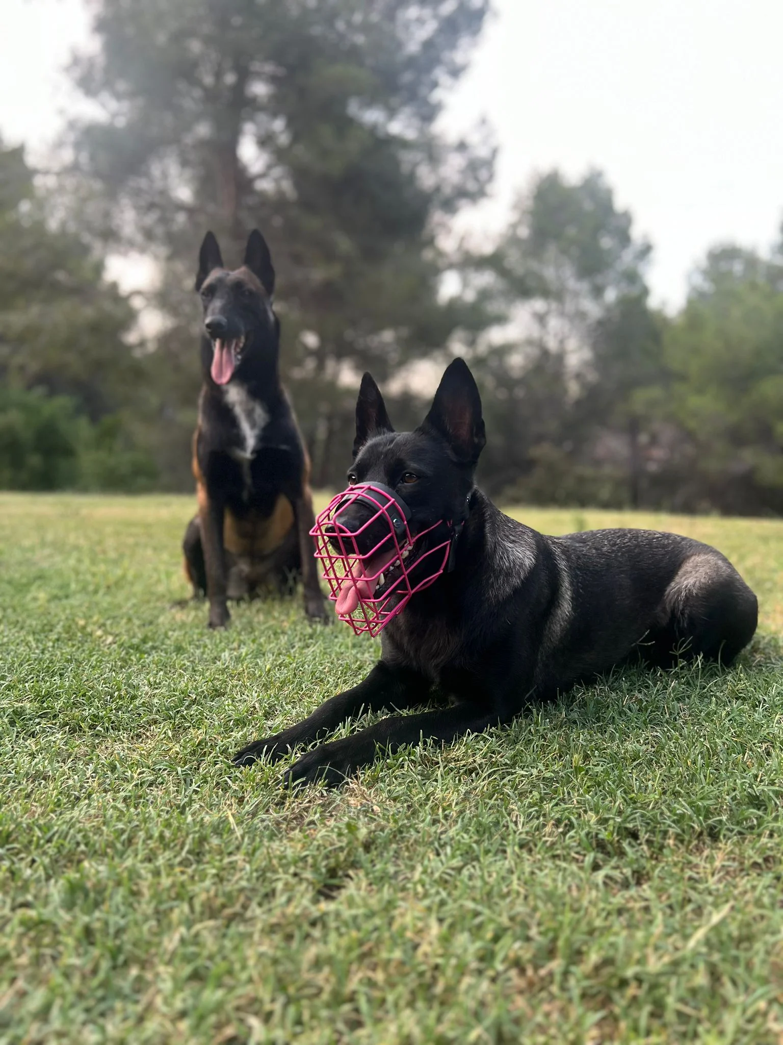 Cuidado individualizado